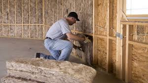 Best Spray Foam Insulation  in Patton Village, TX